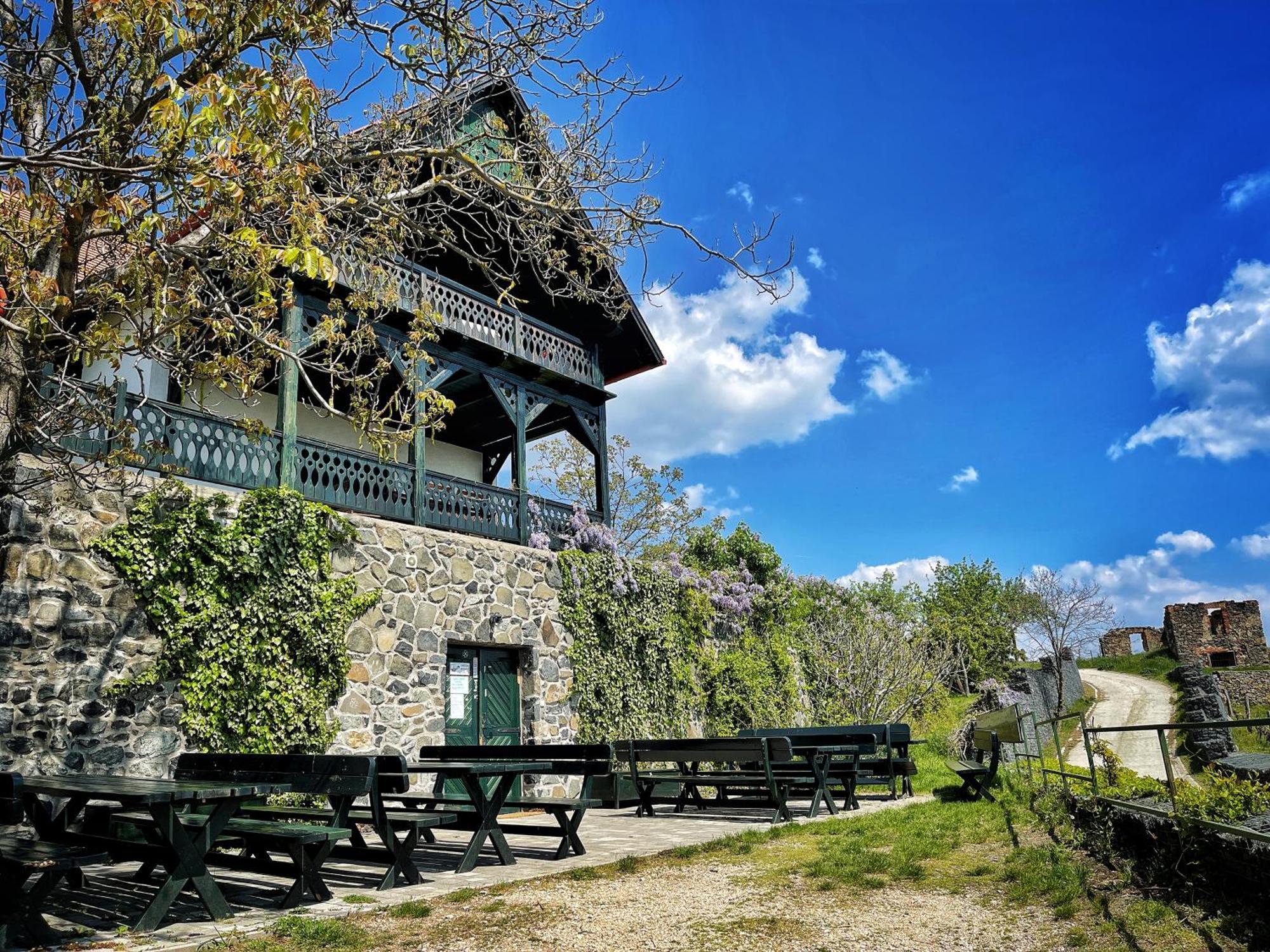 Somlo Wineshop Guesthouse Somlovasarhely Екстериор снимка