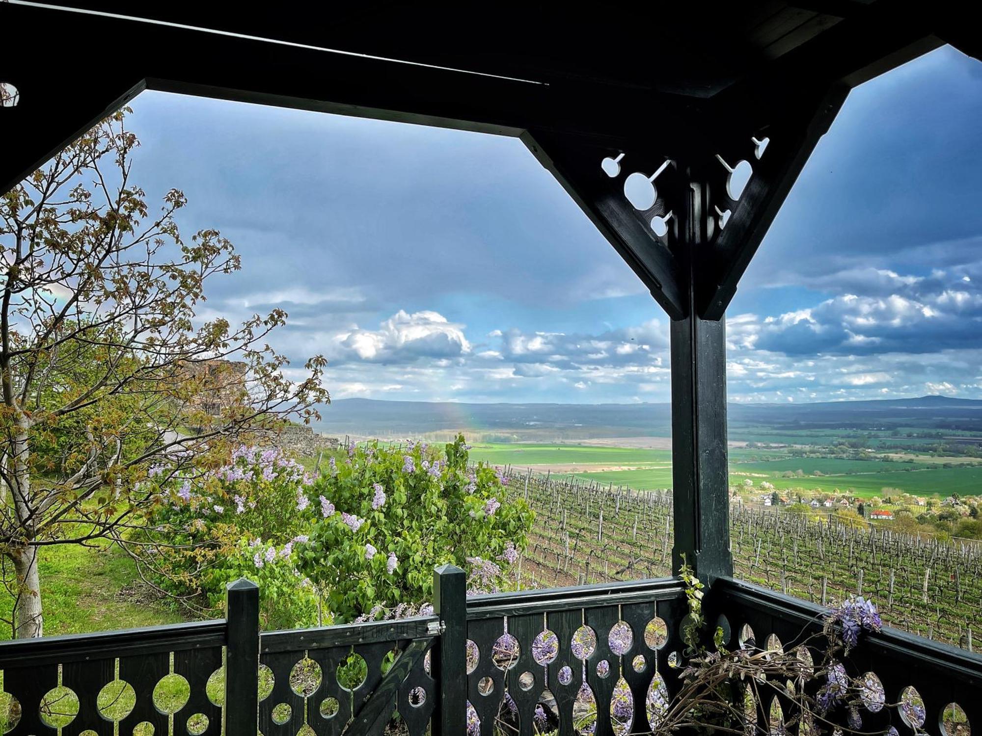 Somlo Wineshop Guesthouse Somlovasarhely Екстериор снимка