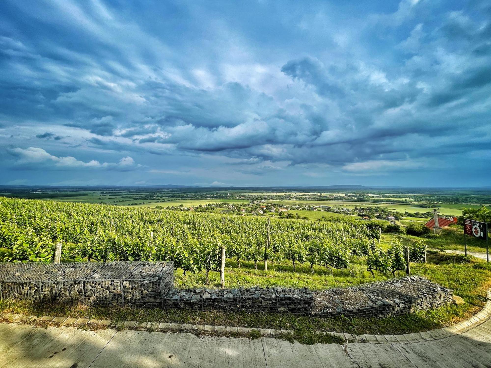 Somlo Wineshop Guesthouse Somlovasarhely Екстериор снимка