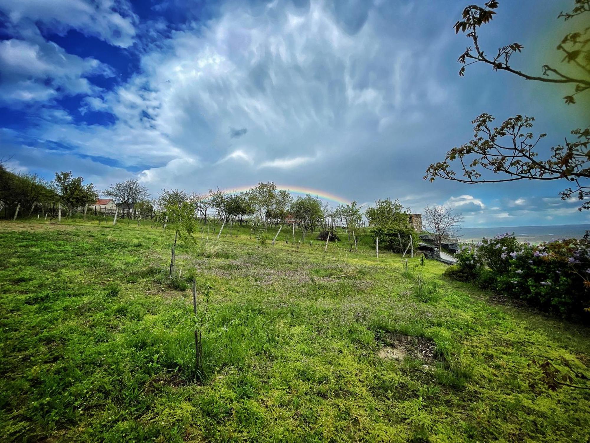 Somlo Wineshop Guesthouse Somlovasarhely Екстериор снимка