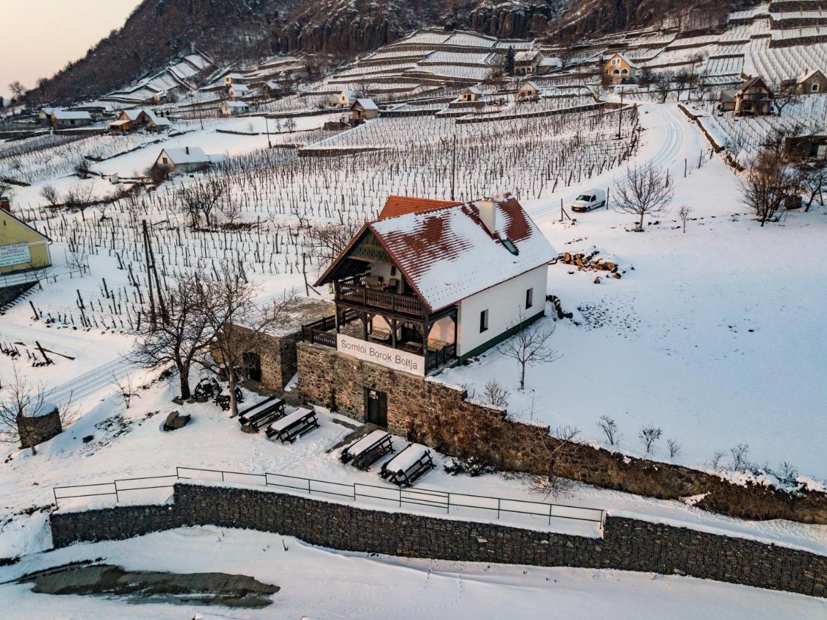 Somlo Wineshop Guesthouse Somlovasarhely Екстериор снимка